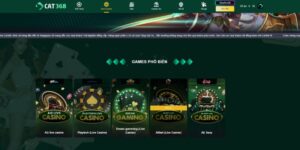 Cat368 1 300x150 1