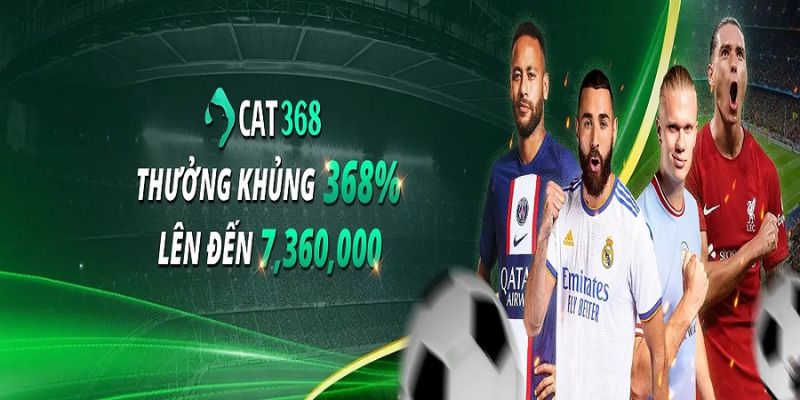 Tổng quan những thông tin về nhà cái Cat368