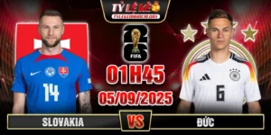 Slovakia Vs Duc 300x150 1