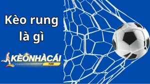 Tong hop thong tin ve keo rung trong ca cuoc bong da 1