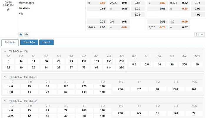 Tỷ lệ kèo Montenegro vs Wales