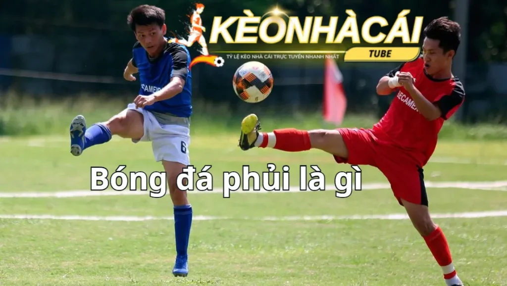 bong da phui la gi 3 1
