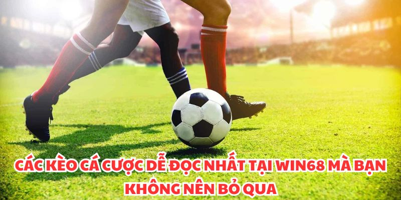 Các kèo cá cược dễ đọc nhất tại WIN68 mà bạn không nên bỏ qua