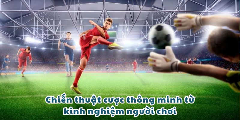 Chiến thuật cược thông minh từ kinh nghiệm người chơi