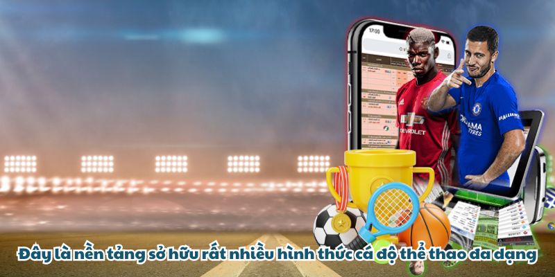 TOPVIN là nền tảng sở hữu rất nhiều hình thức cá độ thể thao đa dạng