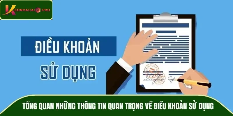 Tổng quan những thông tin quan trọng về điều khoản sử dụng