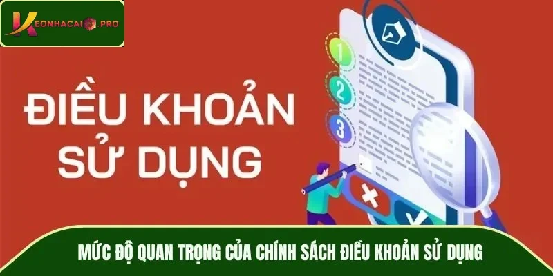 Vai trò quan trọng của chính sách trong lĩnh vực cá cược