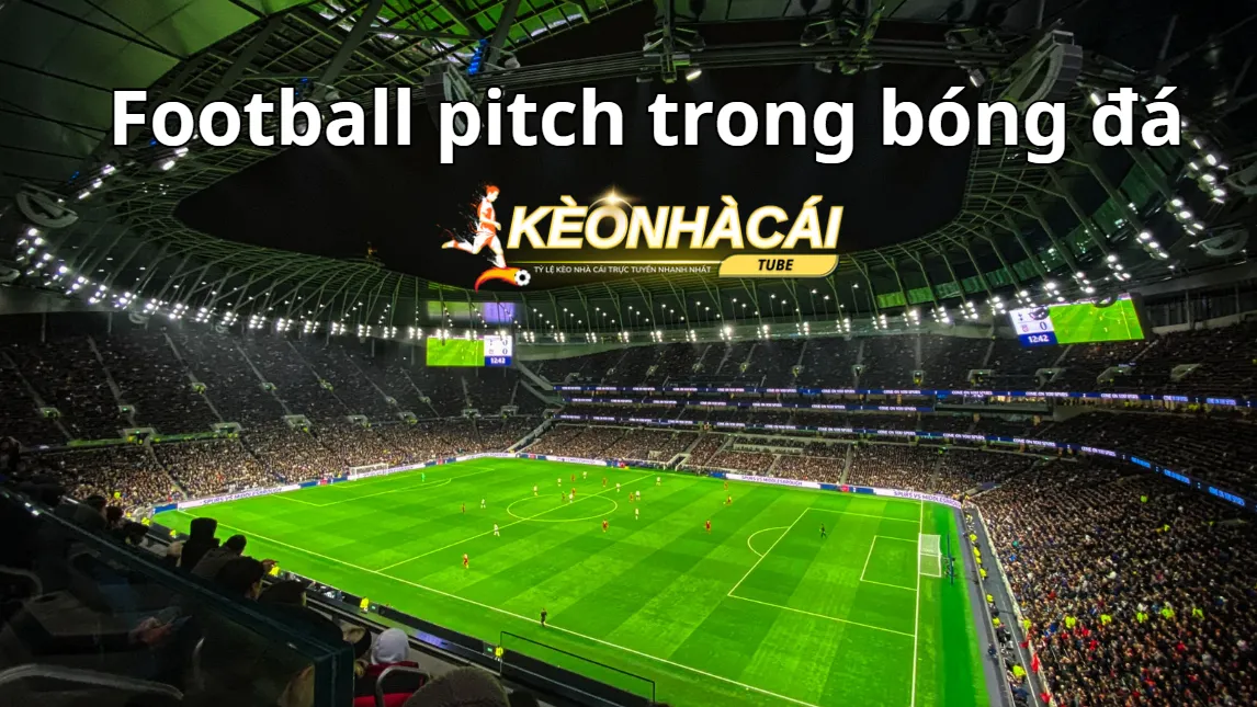 Quy định chung về Football pitch trong bóng đá Quy định chung về Football pitch trong bóng đá