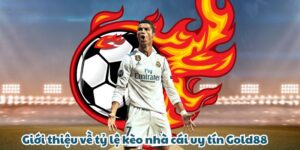 gioi thieu ve ty le keo nha cai uy tin gold88 300x150 1