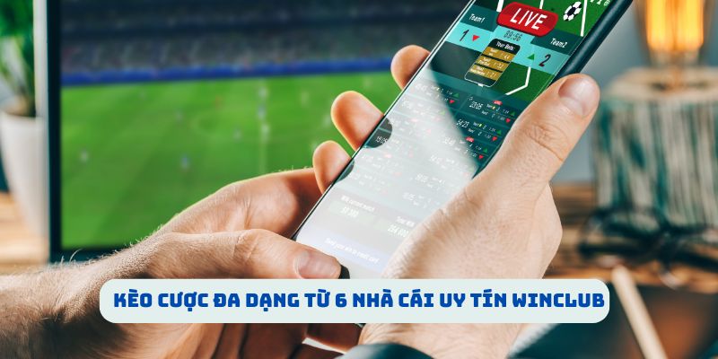 Kèo cược đa dạng từ 6 nhà cái uy tín WINCLUB