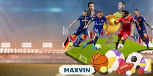 maxvin 300x150 1