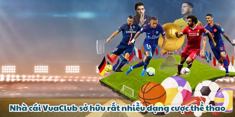 Nhà cái VUACLUB sở hữu rất nhiều dạng cược thể thao