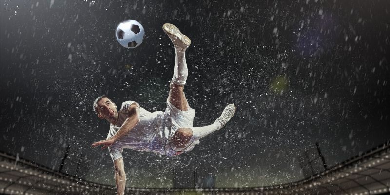 Hơn 2.3 triệu người tham gia trong năm 2024