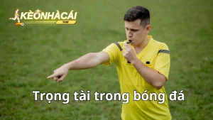 trong tai trong bong da 2 1