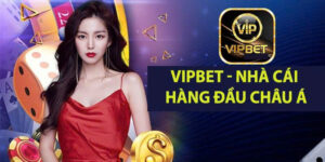 vinbet 300x150 1