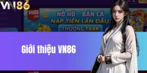 vn86jpg 300x150 1